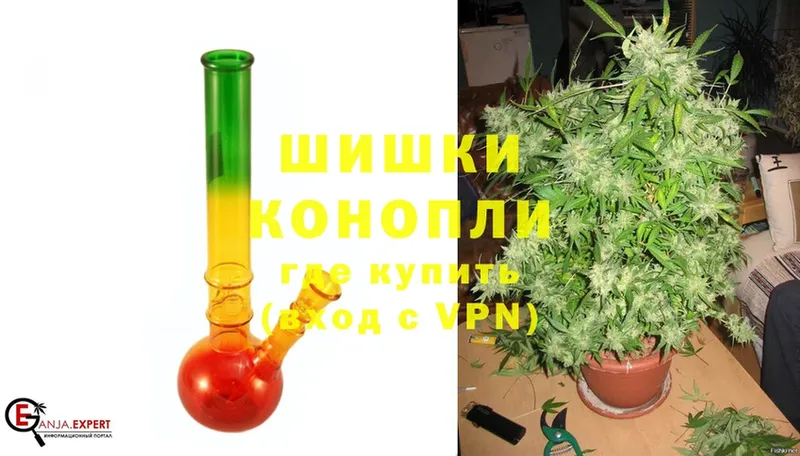 Шишки марихуана THC 21%  Куйбышев 